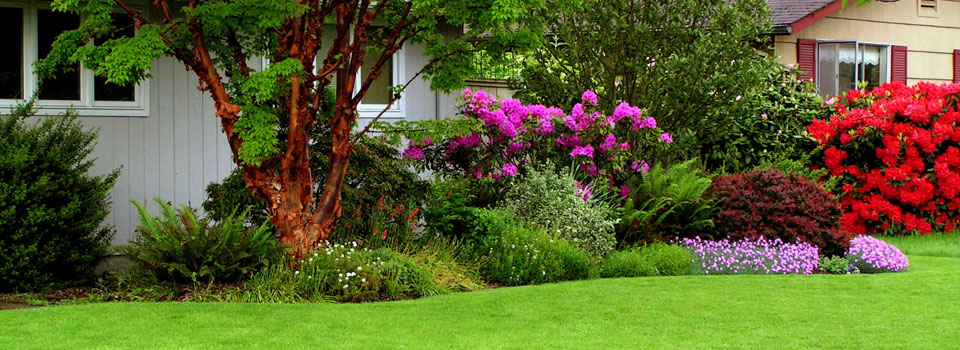 Lawn Trimming - Edging by Dynamic Lawns and Landscapes