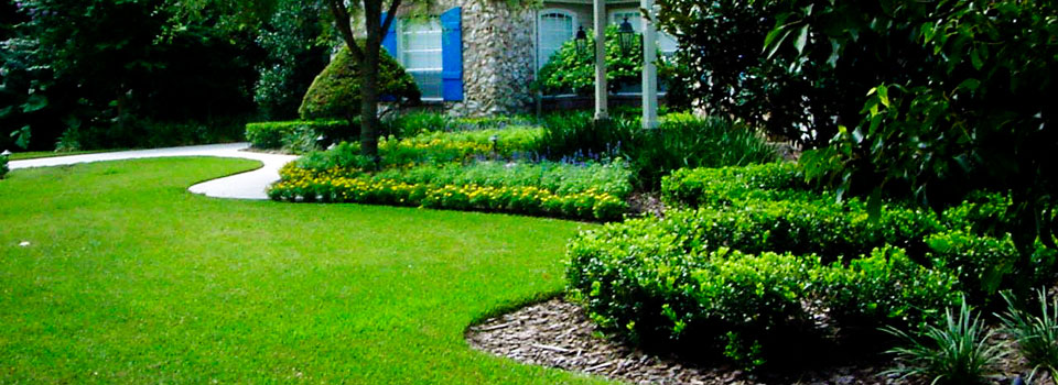 Lawns and Landscapes Services by Dynamic Lawns and Landscapes