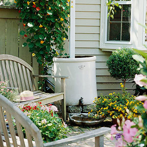 Save Water with a Rain Barrel