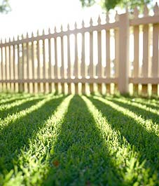 Should You Aerate Your Lawn?